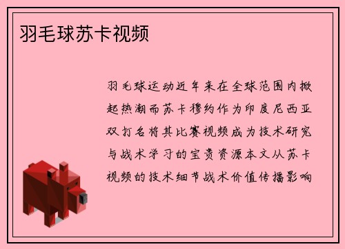 羽毛球苏卡视频